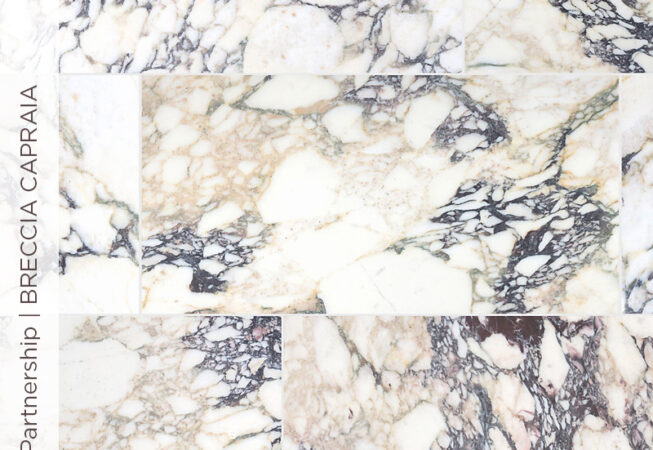 Stone Partnership | Breccia Capraia Italian Marble